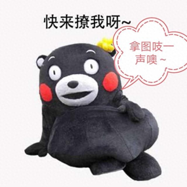 【手机壁纸】第二十三期：小雏菊系列