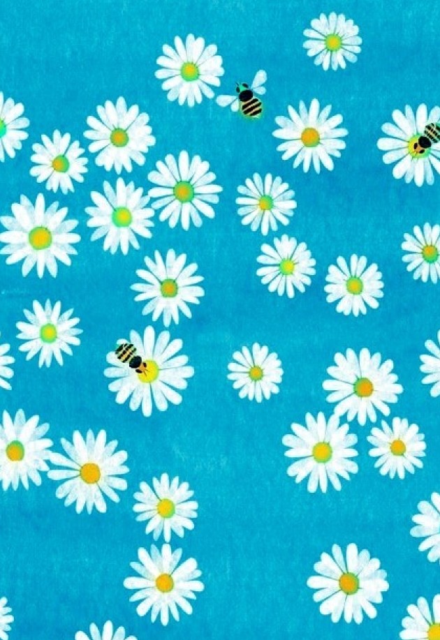 【手机壁纸】第二十三期：小雏菊系列