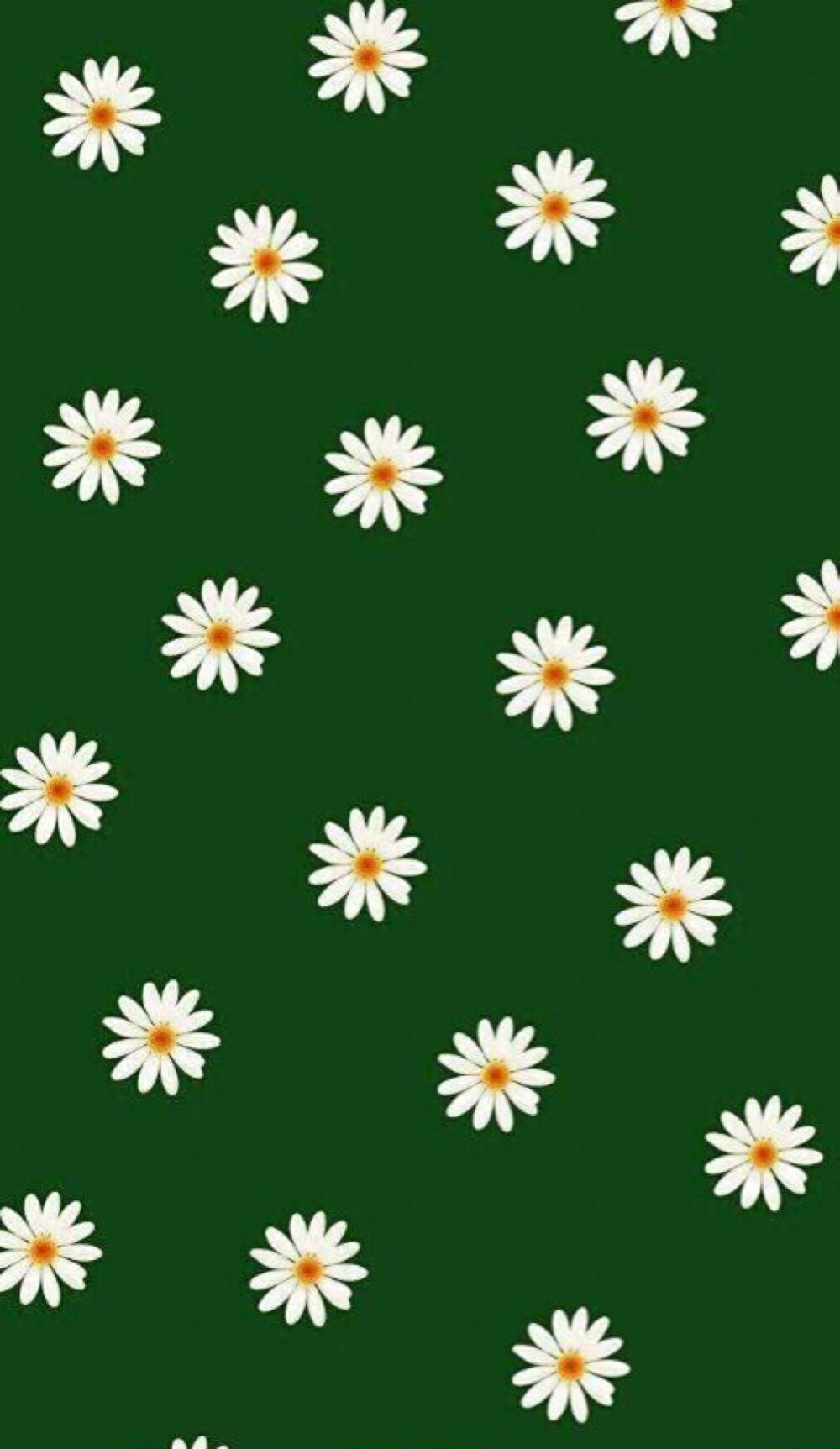 【手机壁纸】第二十三期：小雏菊系列