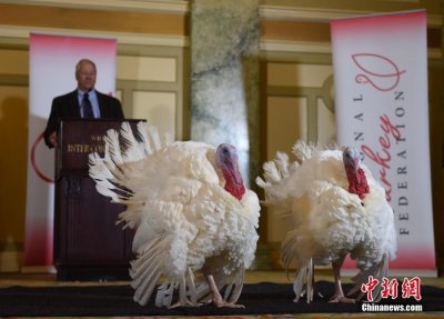 ​感恩节幸运火鸡亮相华盛顿