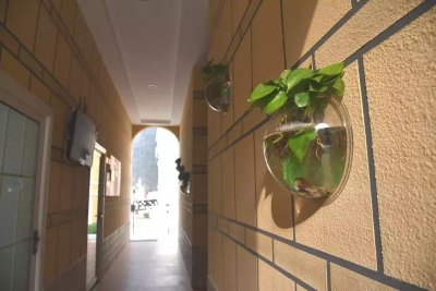 ​公厕革命 | 这些今年新建的硬核公厕，了解一下~