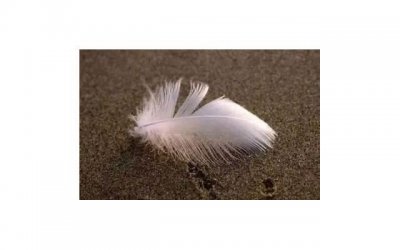 ​重生的经典语录短句精选12句