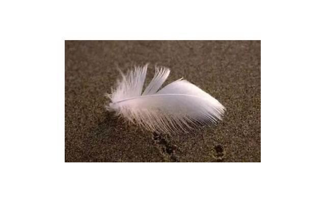 重生的经典语录短句精选12句 重生的经典语录短句精选12句