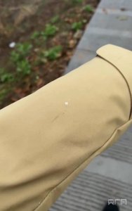 七年之约 重庆中心城区又飘雪啦!