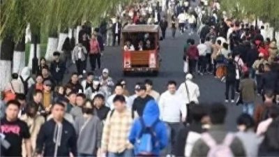 "揭秘!哪个省成为2023年人口最多的黑马?"