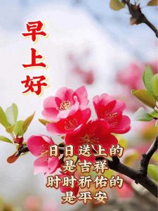 新版非常好看的早安图片大全,祝福问候,一切美好!