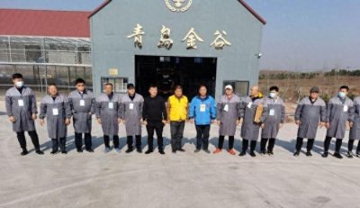 中国信鸽公棚鸽王排名赛(秋赛)——青岛金谷站绝杀关精彩上演