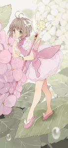 百变小樱系列手机壁纸——樱花盛开之际,封印解除之时