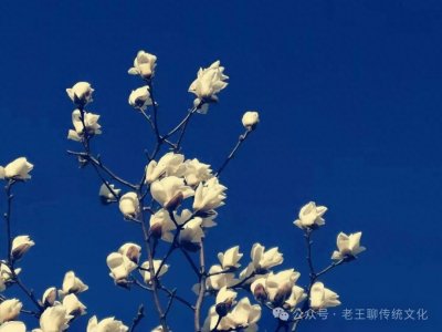 ​企业领袖如何避免“挟天子以令诸侯”的陷阱？