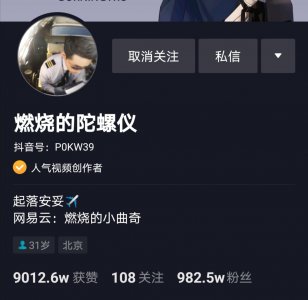 “机长”燃烧的陀螺仪正脸曝光,有没有让你失望?