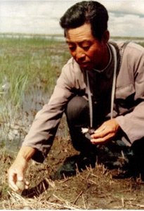 丹顶鹤女孩牺牲30年后弟弟也牺牲了,为她作歌曲传唱30年,仍守护