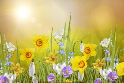 ​女宝宝起名带雅字名字，好听文雅新颖女孩起名带雅字名字