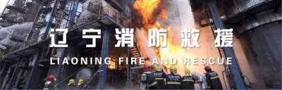 ​辽阳一仓房深夜突发大火！