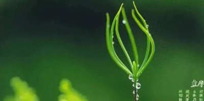 ​2月3号立春，“立春见3鲜，一年病不沾”，3鲜指啥？记得吃