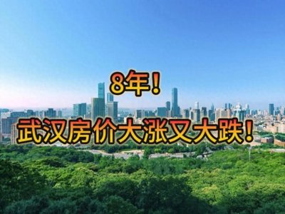 ​来武汉8年了，亲身经历武汉房价从大涨到大跌！