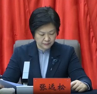 ​29 年权力游戏：54 岁女常委的堕落轨迹