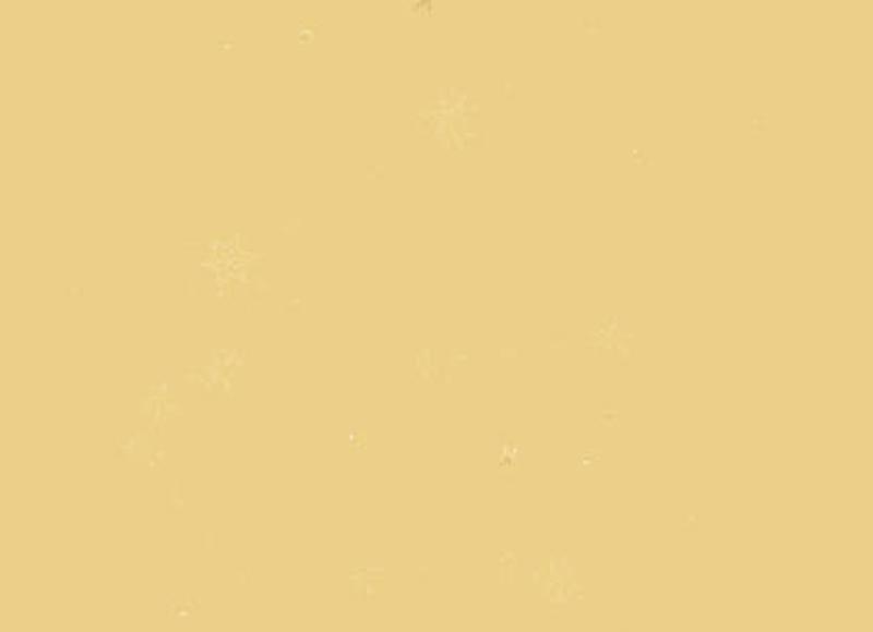  一人一句话温馨短句整理86句