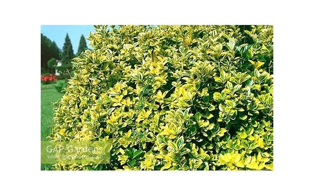  早上问候语句子简短温馨选录60条