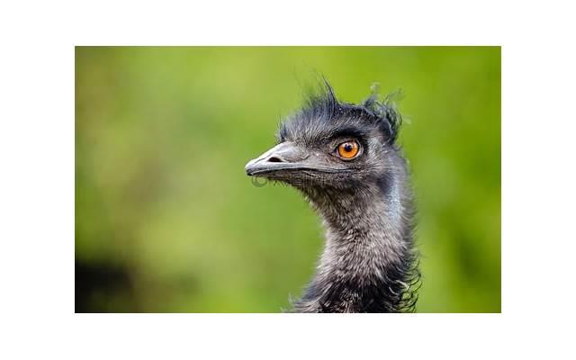  儿子结婚父母通知同学短句合集50条