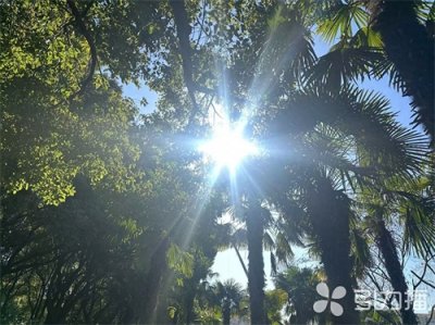 ​苏州春节假期天气预测来了！除夕最低零下3℃左右，这天会下雨→