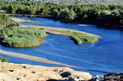 ​中国新疆与中亚：伊犁河流域“马文化”溯源与交流模式探析