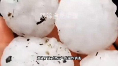 ​贵州松桃突降冰雹，农作物都被打坏了