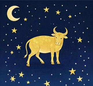 如何追求金牛座男生