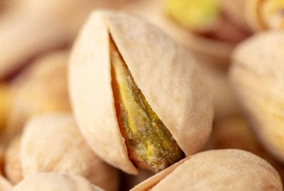 开心果产地在中国哪里