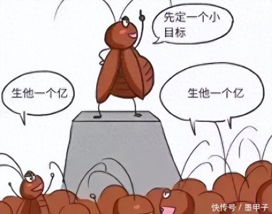 多数人不知道蟑螂“怕的”啥:家中放点“它”,蟑螂就“消失了”