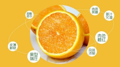 ​廉江红橙，广东省廉江市特产，中国国家地理标志产品