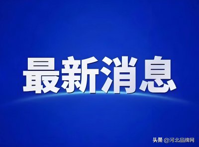 ​河北品牌网总编辑刘月好：品牌的重要性