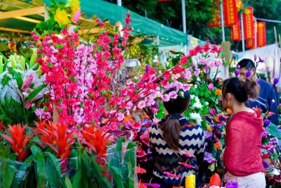 ​在深圳过年到底能干啥？全攻略手册来了