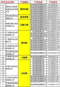 ​工信部最新曝光的目录，218款电摩，131款电三，买电动车注意看了