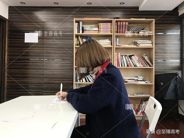 武汉有哪些艺术生学文化课(武汉艺术生文化课考多少分能上一本)(2)