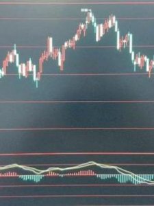 ​什么是现货(什么是现货黄金)