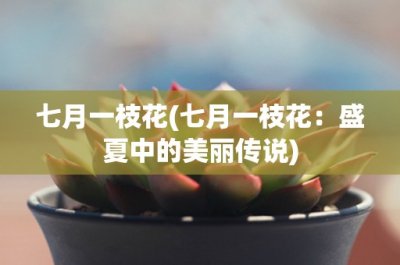 ​七月一枝花(七月一枝花：盛夏中的美丽传说)