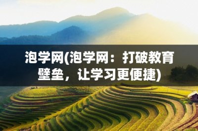 泡学网(泡学网:打破教育壁垒,让学习更便捷)
