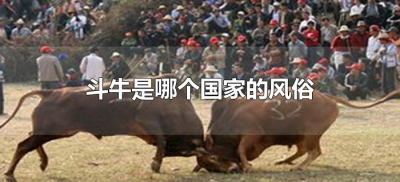 ​斗牛是哪个国家的风俗（斗牛是什么地方的民俗）
