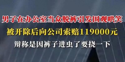 ​办公室“脱裤门”：一场虫子引发的职场风波