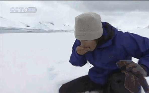 金城武长得真的不帅(金城武46岁了他唯一的缺点)(45)