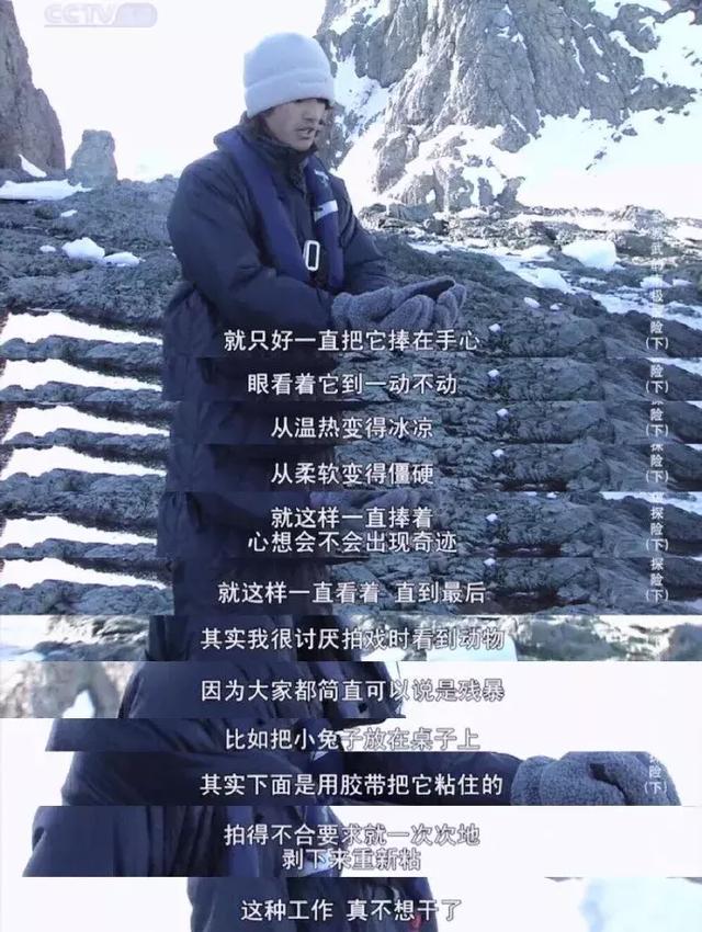 金城武长得真的不帅(金城武46岁了他唯一的缺点)(33)