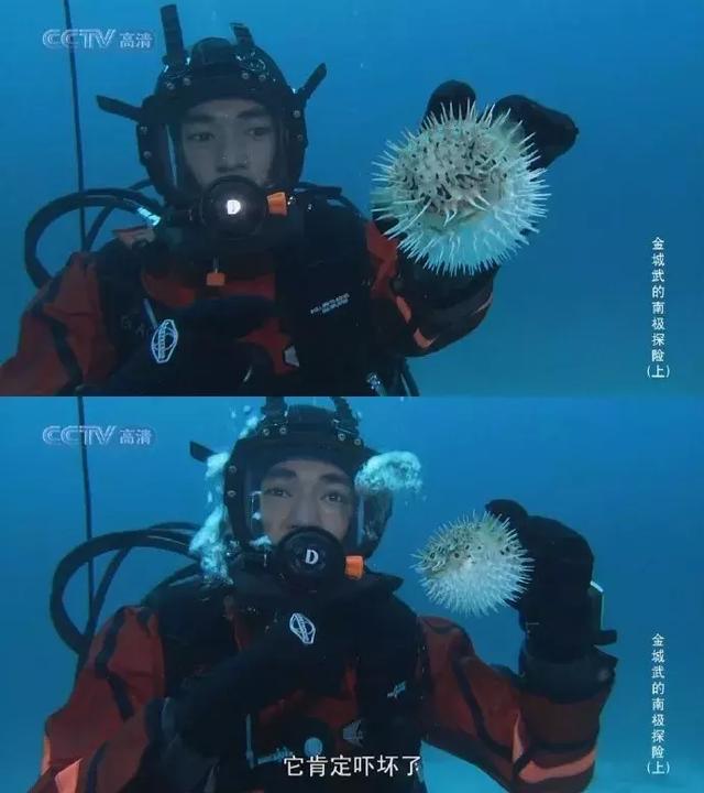 金城武长得真的不帅(金城武46岁了他唯一的缺点)(36)