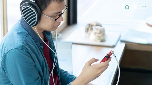 hifiman901r评测(不再国砖的HIFIMAN)(11)