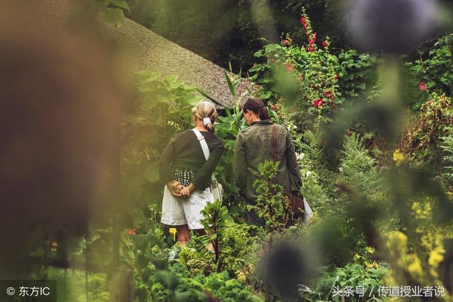 关于植物的谜语加答案(植物谜语大全以及答案)(4)