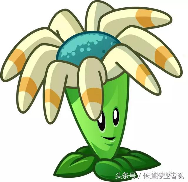 关于植物的谜语加答案(植物谜语大全以及答案)(1)