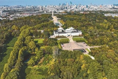 ​“树”说风华，寻找雨花台75年来的植树人——当年种树的你，如今在哪里？