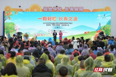 ​有一种“获得感”答卷叫“麻阳冰糖橙”