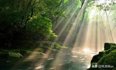 ​站桩要领与心法