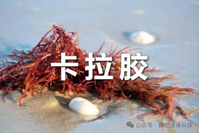 ​卡拉胶：无处不在的天然食品添加剂