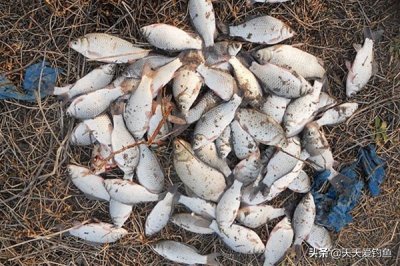 ​冬至过后鱼难钓，那是你不知道这些诀窍，别不信，现在知道不亏